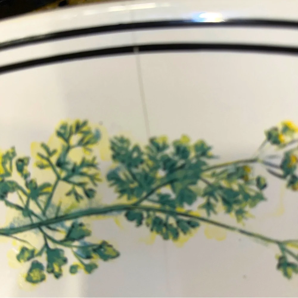 Williams Sonoma large bowl covered in Herbs